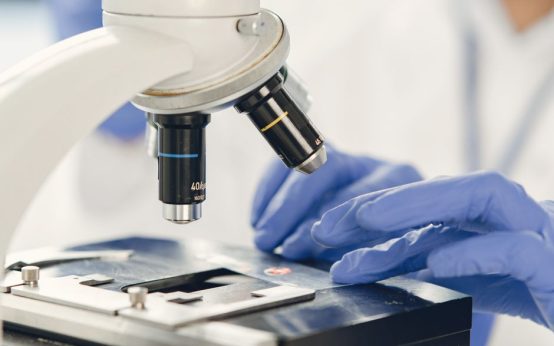 Imagen ilustrativa. Laboratorio de investigación biotecnológica con equipamiento científico.